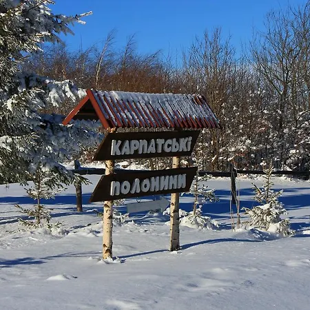Holiday park карпатські полонини