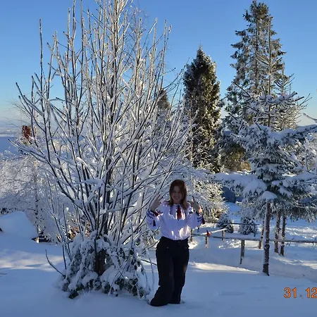 Holiday park Karpatski Polonyny *