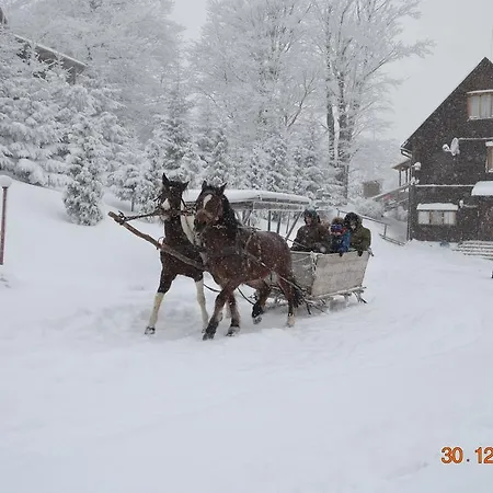Karpatski Polonyny Holiday park *