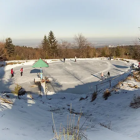 Holiday park карпатські полонини *