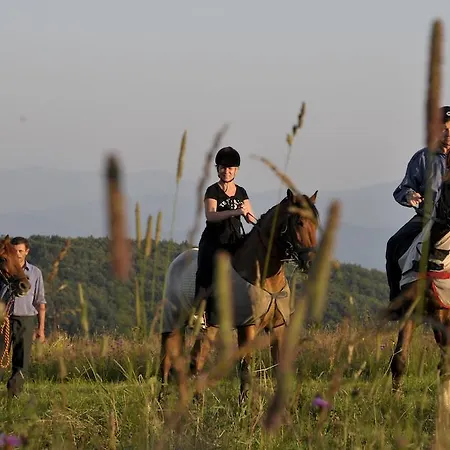 Holiday park Karpatski Polonyny